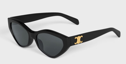 Triomphe 17 sunglasses in Acetate